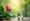 Understanding Bright Red Bleeding After Menopause: Causes and Care