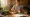 Herbs and PCOS: Effective Remedies for Your Health Journey